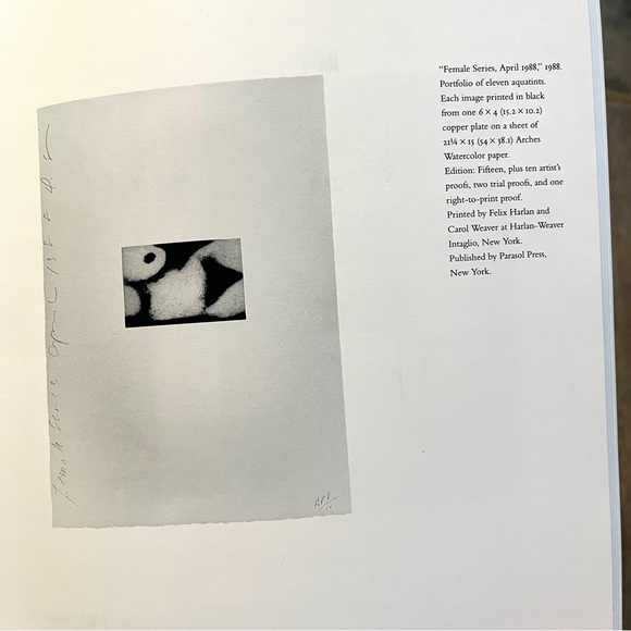 Donald Sultan: A Print Restrospectove. 95 pages. 10 x 10 inches. A beauty! - Picture 4 of 12